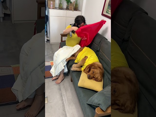 沙发太挤了，还是睡地上舒服一点#搞笑#美女#狗狗#夫妻
