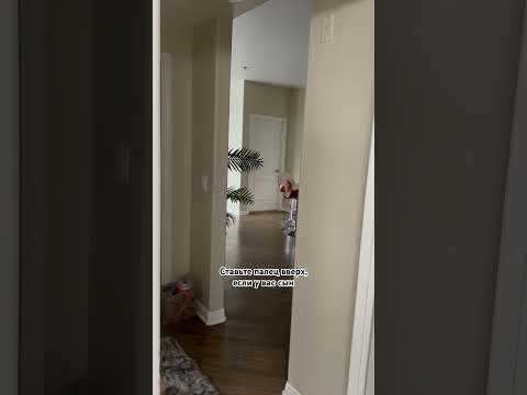 Мои любимые #мужчины ⚡️