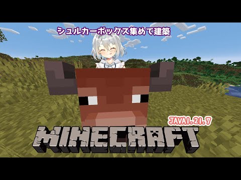 thumbnail_DTbnN-20O4M