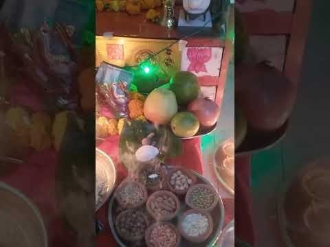 2 नवम्बर को देव उठनी एकादशी को तुलसी जी को प्रसन्न करने केलिए करें ये उपाय