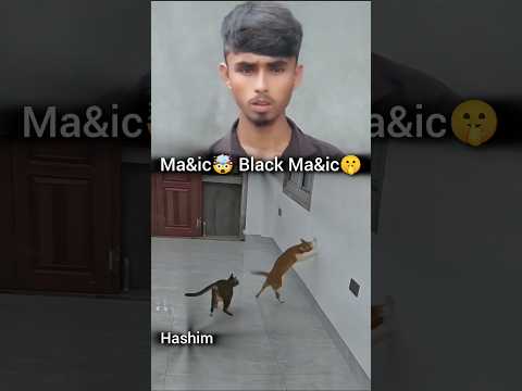 What 😱☠️🐈⬛#video #funny