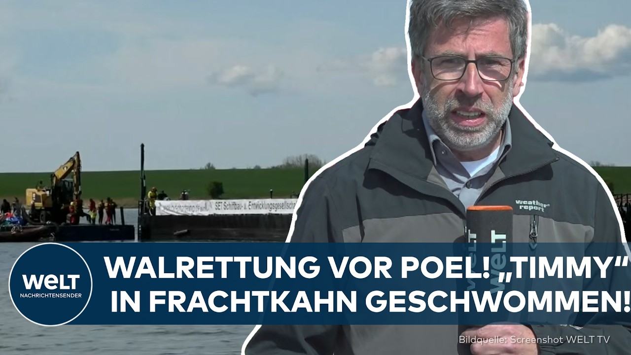 WALRETTUNG VOR POEL: „Timmy“ in Frachtkahn geschwommen!