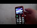 Мобильный телефон DEXP Larus S8