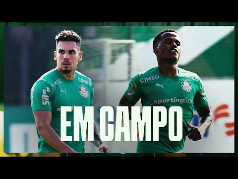 image para ilustrar o artigo