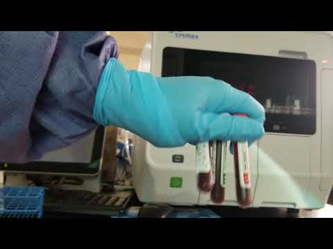 Hematology: Performing and Interpreting QC on the Sysmex XN-550 Automated CBC Analyzer