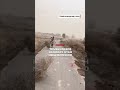 Tumbleweeds inundate Utah neighborhood  - 00:31 min - News - Video