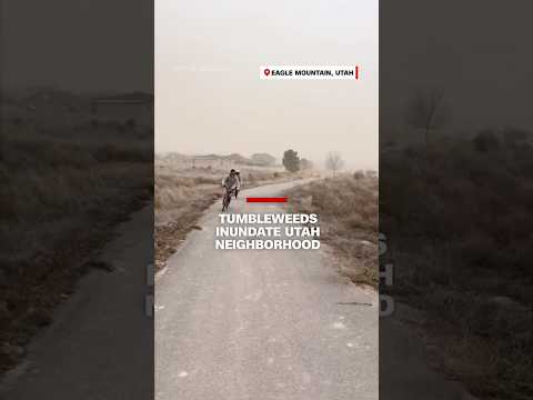 Tumbleweeds inundate Utah neighborhood