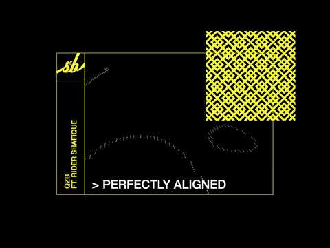 QZB ft. Rider Shafique - Perfectly Aligned