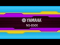 Yamaha NS-B500