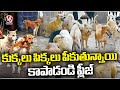 Street Dogs Hulchul At Nirmal | V6 News
