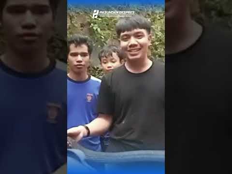 Evakuasi Ular Kobra Sepanjang 4 Meter di Desa Pasanggrahan Subang #subang #shortvideo#subangselatan