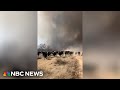 WATCH: Video shows cattle running from Texas wildfires
