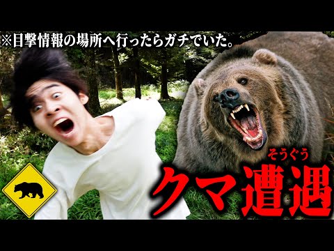 【ガチ】撮影中にクマに遭遇して一生のトラウマになりました。