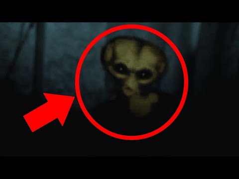 REAL LIFE ALIEN CAUGHT ON CAMERA | FACTS