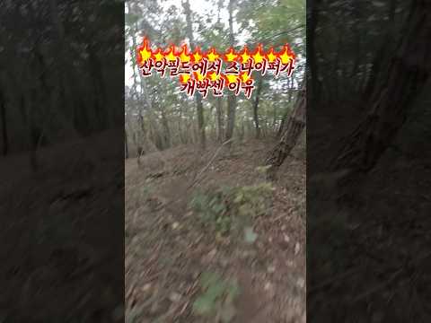 누가 스나이퍼 쉽고 개꿀이라고 말하면 손절하십쇼 @SilverbackAirsoft #srsa2  #에어소프트게임 #비비탄총