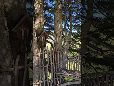 Schöne Wanderbank #bergblick #wanderlust