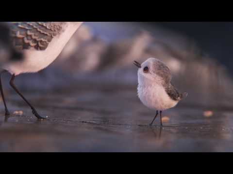 Piper'