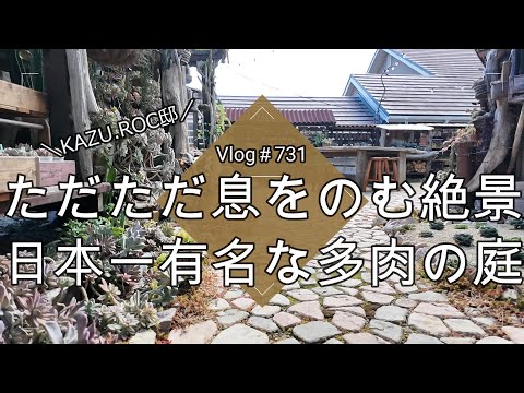 【Vlog731】【多肉植物】ただただ息をのむ絶景🌵日本一有名な多肉の庭【KAZU.ROCさんのジャンクガーデン】