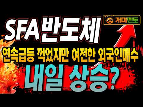 [SFA반도체 주가전망] 급등하다 꺽였지만 여전한 외국인들의 매수세!!