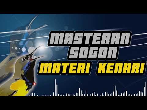 MASTERAN SOGON MATERI KENARI | #sogokontong #sogon #sogongacor #sogonmateri #sogonbetina