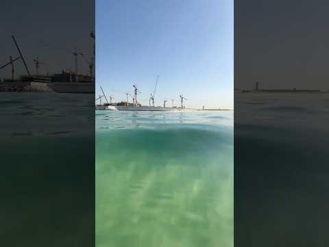 #dubai #beach #fish #schooloffish #sea