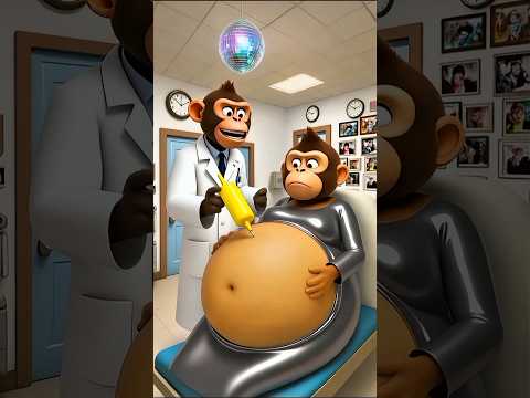 ❤Evolution of animal: monkey doctor with pregnant woman in hospital room #shorts