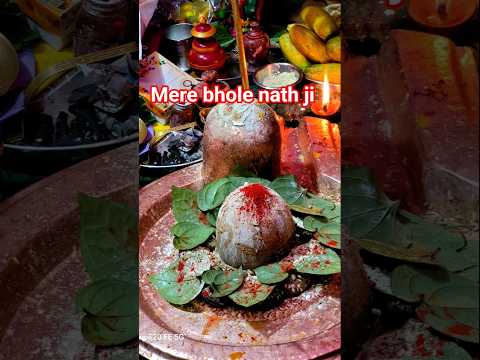 bholenath ji beat Abhilasha panda#bhakti #viral #abhilipsapandasongstatus #live #youtubeshorts