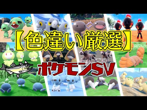 thumbnail_DWuvZDoUhXI