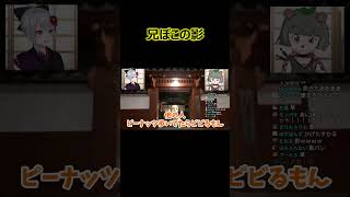 兄ぽこの影【ぽこピー切り抜き】