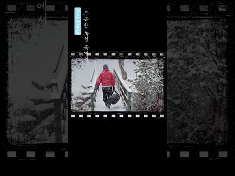 푸근한 폭설 속에서 #캠핑브이로그 #camping #캠핑asmr#캠핑 푸근한 폭설 속에서 #캠핑브이로그 #camping #캠핑asmr#캠핑