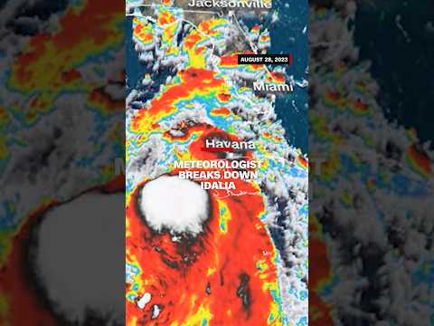 Meteorologist breaks down Tropical Storm Idalia