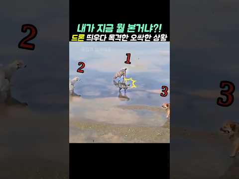 <strong>드론</strong> 날리다가 목격한 오싹한 상황
