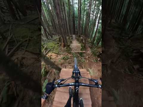 My favourite trail just got better! #mountainbike #mtb #sports