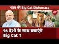 Big Cat Alliance:  क्या है  Big Cat Alliance ? जिसे अब India ने Cabinet की बैठक में हरी झंडी दी है