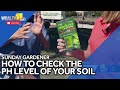Sunday Gardener: Playing scientist on the lawn with a pH test