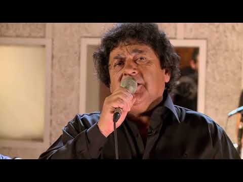 Los palmeras - Olvidala