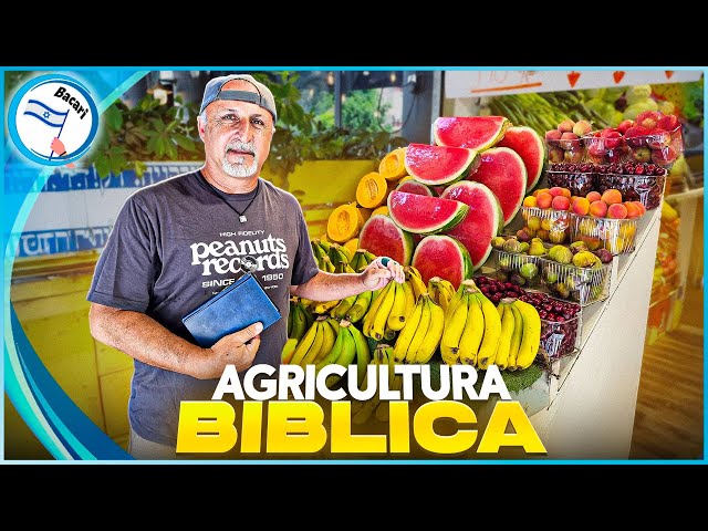 ¡Milagro! La Biblia cobra vida en los campos de Israel