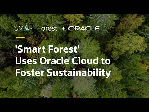 How NIBIO is fostering more sustainable forests using innovative sensors, Oracle Cloud (OCI) and AI