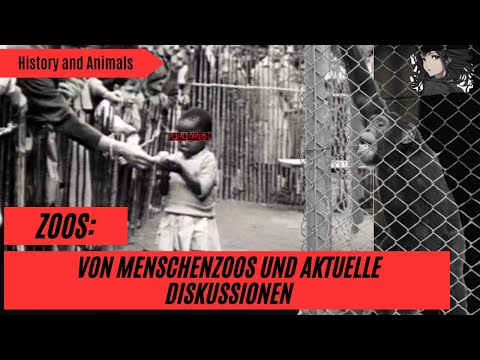 Zoos: Von Menschenzoos bis zu den heutigen aktuellen Skandalen I Doku 2025