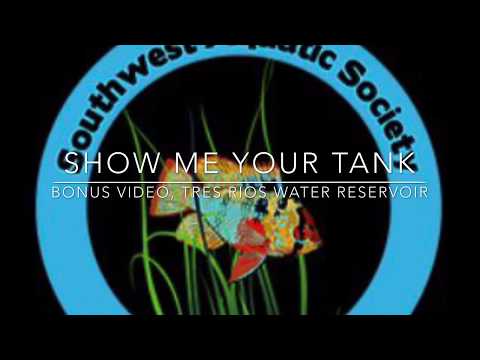 Show me your tank, Bonus Video Visiting the Tres Rios Wetlands, morning hike.