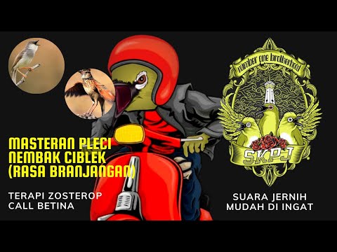MASTERAN PLECI NEMBAK CIBLEK ( RASA BRANJANGAN ) BY SKPJ