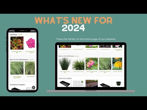 ဗီဒီယို။ 2024 ခုနှစ်အတွက် ဘယ်အပင်တွေက အသစ်လဲ။