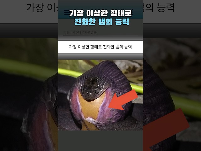가장 이상한 형태로 진화한 뱀의 능력