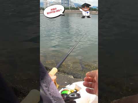 次回の釣りやりまっせは？　#shorts