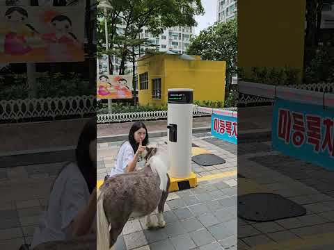 나두 사람인데여?!🦄🤷♀️I'm a human too~😤💨