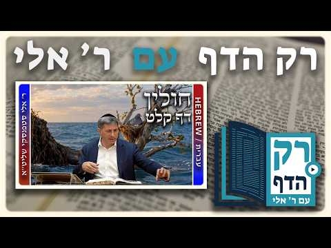 חזרה - חולין דף קלט | "רק הדף" עם ר' אלי סטפנסקי