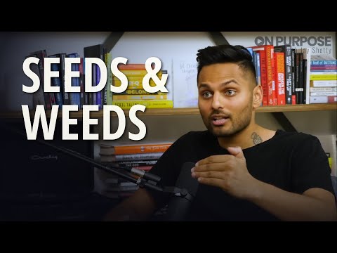 Seeds and weeds - Living intentionally | Mental tool by Jay Shetty