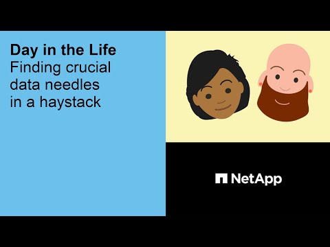 Finding crucial data needles in a haystack | Day in the Life