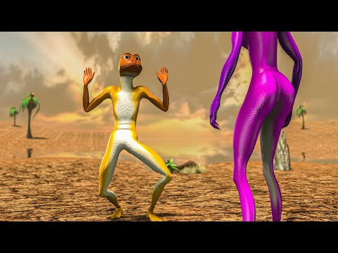 Patila or Raptor What's the BEST Choice for Your Next Dance Move?