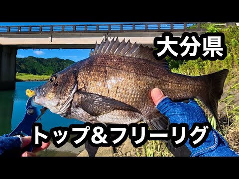 夏だ！チニング行こっ！大分県佐伯市編